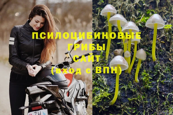 дживик Армянск