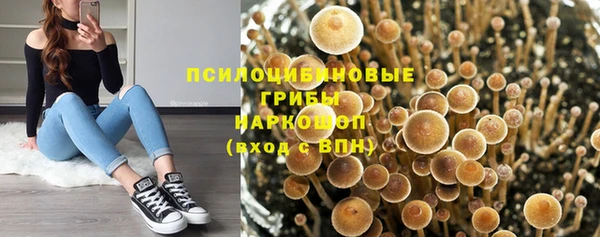 Альфа ПВП Аркадак